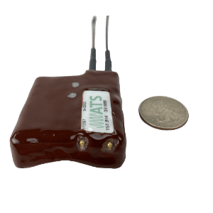 Image of ATS W510 GPS logger for animal telemetry, used on small terrestrial animals for tracking by biologists